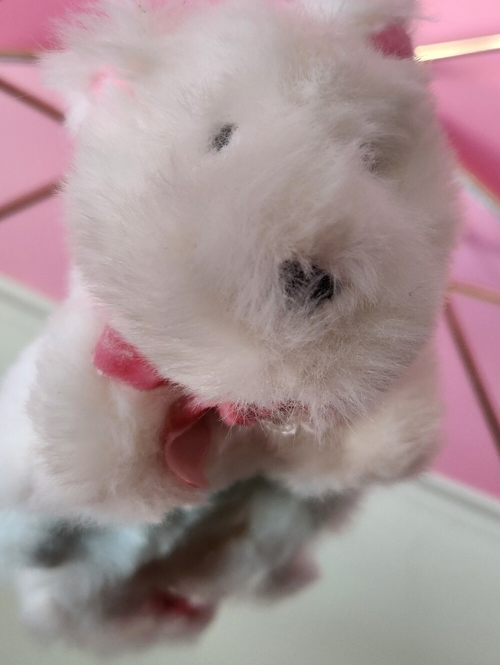 Look alike American Girl Doll Coconut Dog White and Pink Puppy - Soft Cuddle Toy